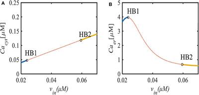 Bifurcation and Numerical Simulations of Ca2+ Oscillatory Behavior in Astrocytes